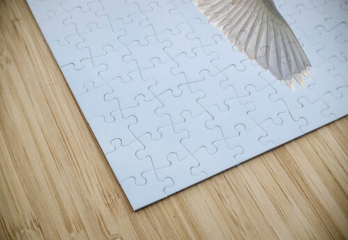 Great Egret Chris Seager puzzle