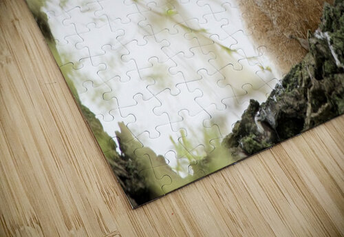 Fluffy Chris Seager puzzle