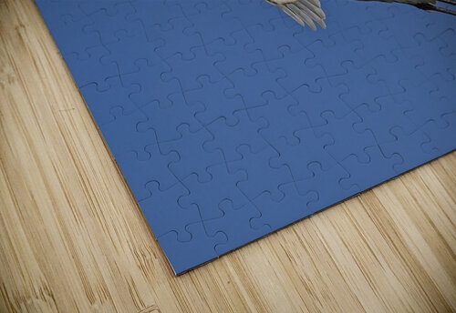 White on Blue Chris Seager puzzle
