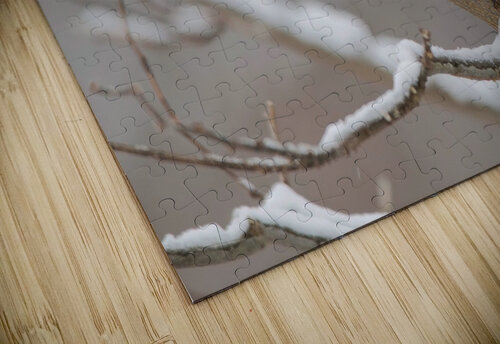 Cardinal in Snow Chris Seager puzzle