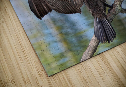 Stretch Chris Seager puzzle