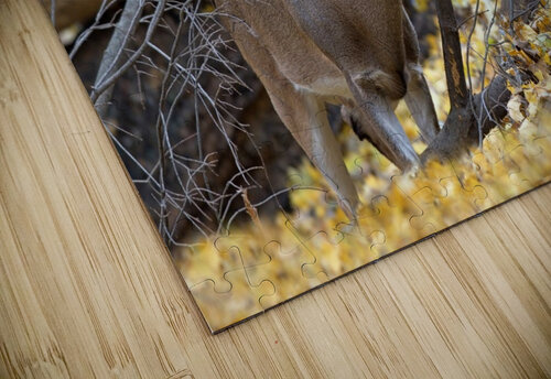 White Tail Buck Chris Seager puzzle