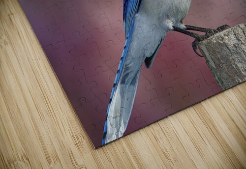 Blue on Pink Chris Seager puzzle