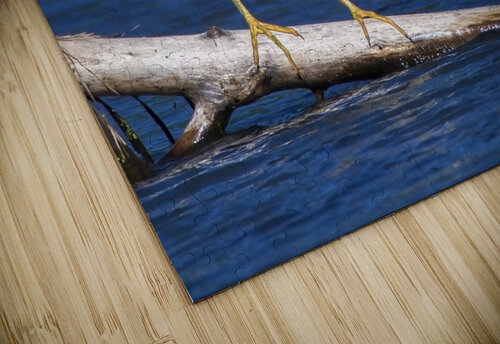 Balancing act Chris Seager puzzle