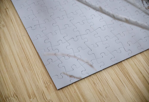 Double Junco Chris Seager puzzle