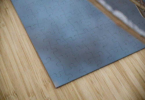 Finch Chris Seager puzzle