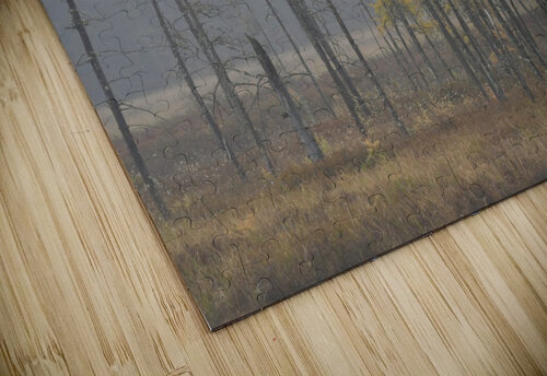 Misty Morning Chris Seager puzzle
