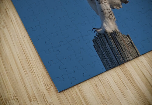 Snowy ballet Chris Seager puzzle
