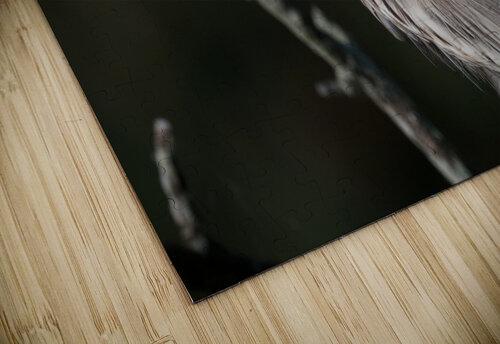 HeronProfile Chris Seager puzzle