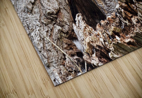 TheLookOut Chris Seager puzzle