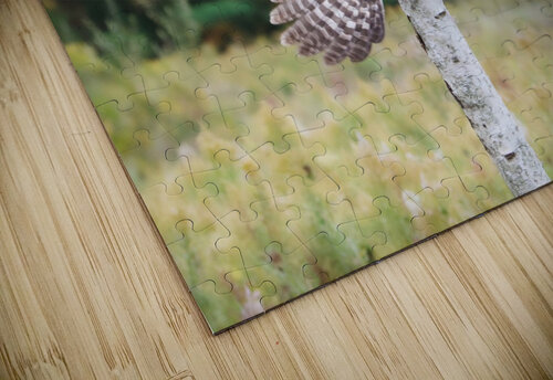 GreatGreyOwl Chris Seager puzzle