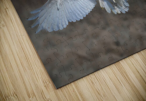 Snowy Landing Chris Seager puzzle