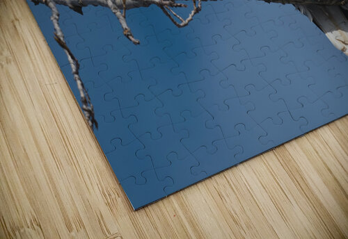 Eagle sky Chris Seager puzzle