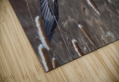 Bald Eagle Low Rider Chris Seager puzzle