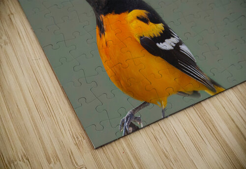Baltimore Oriole Chris Seager puzzle
