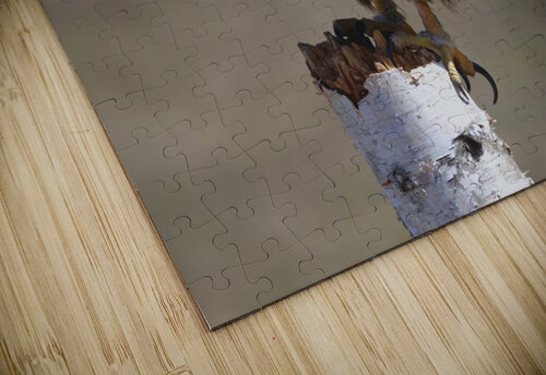 Golden Eagle Chris Seager puzzle
