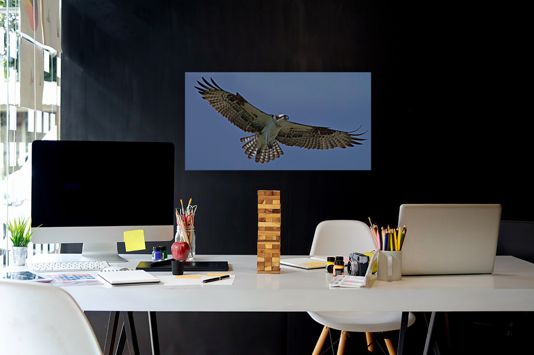 Soaring Reproduction