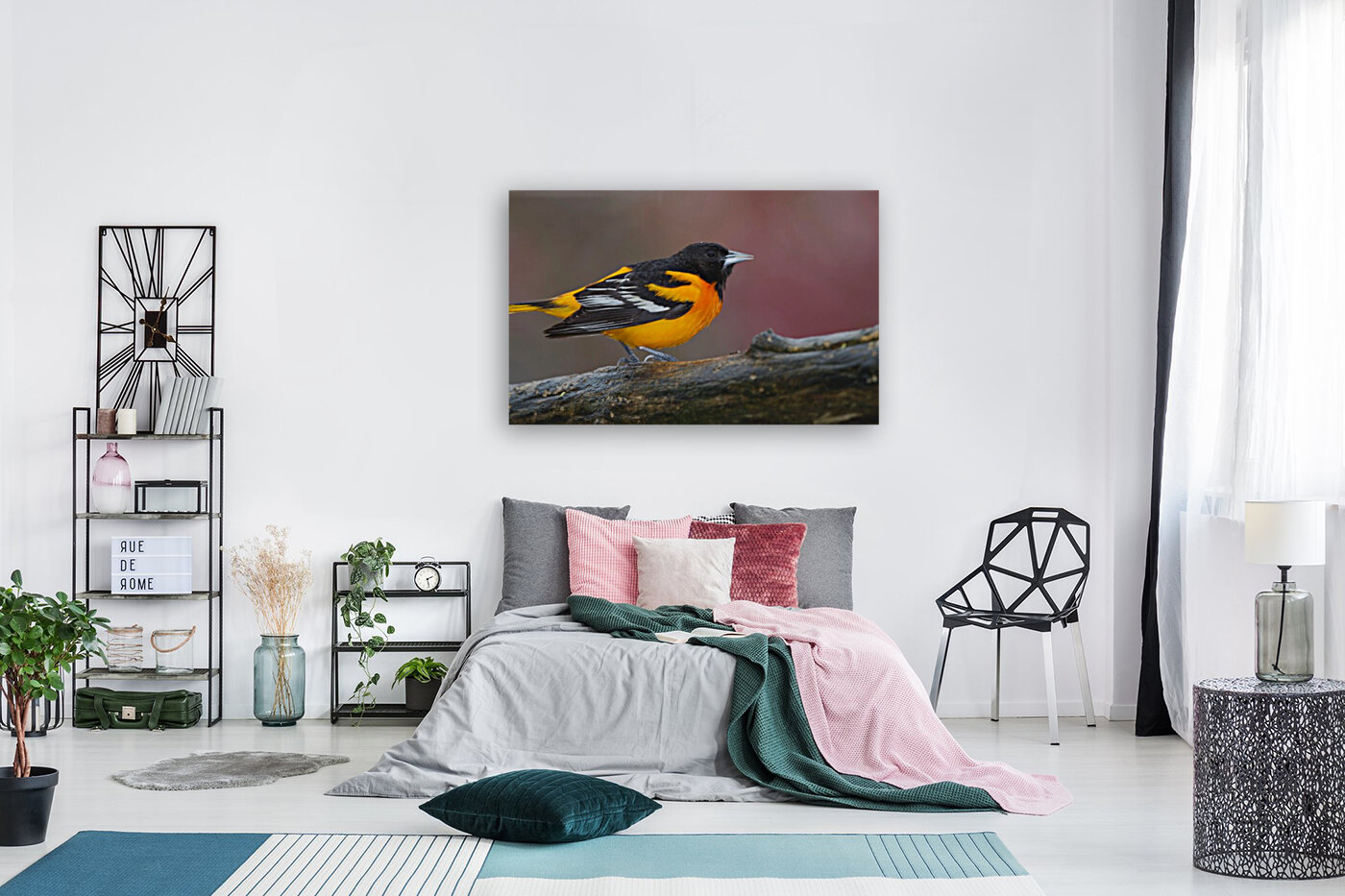 Baltimore Oriole Reproduction
