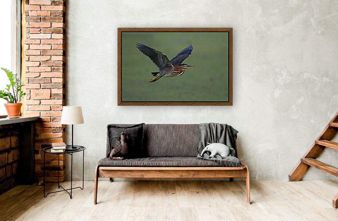 Green Flight Reproduction