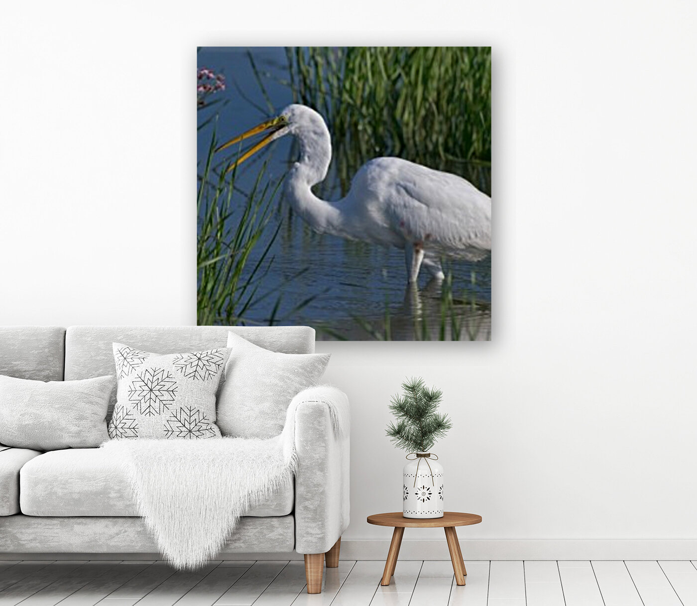 Great Egret  Reproduction