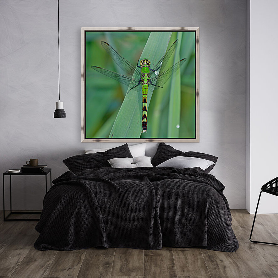 Green on Green  Reproduction