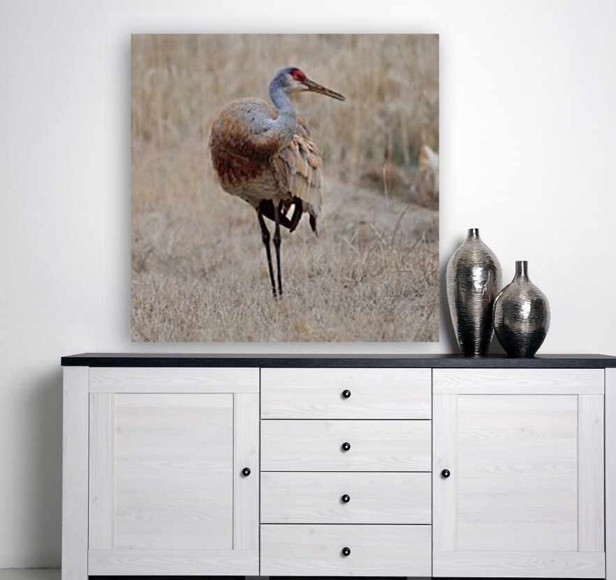 Crane Balance Reproduction