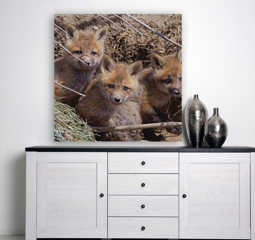 Threes a crowd  Reproduction