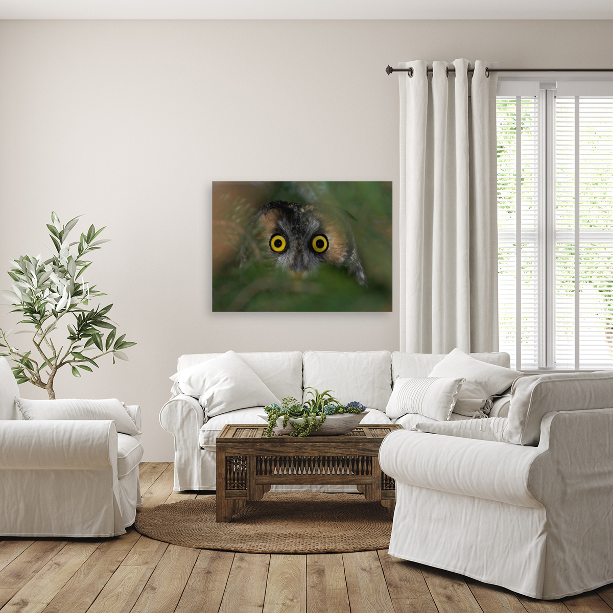 Owl Eyes  Reproduction