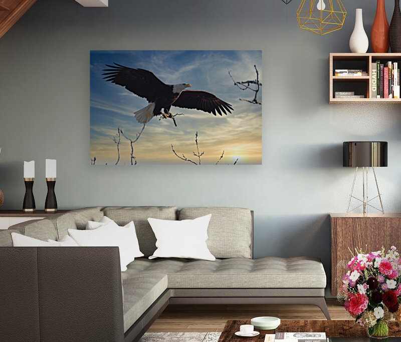 Eagle Sunset Reproduction