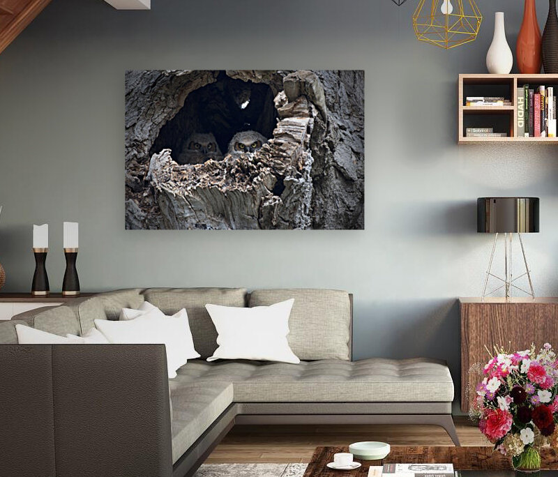 Owl Fortress Reproduction