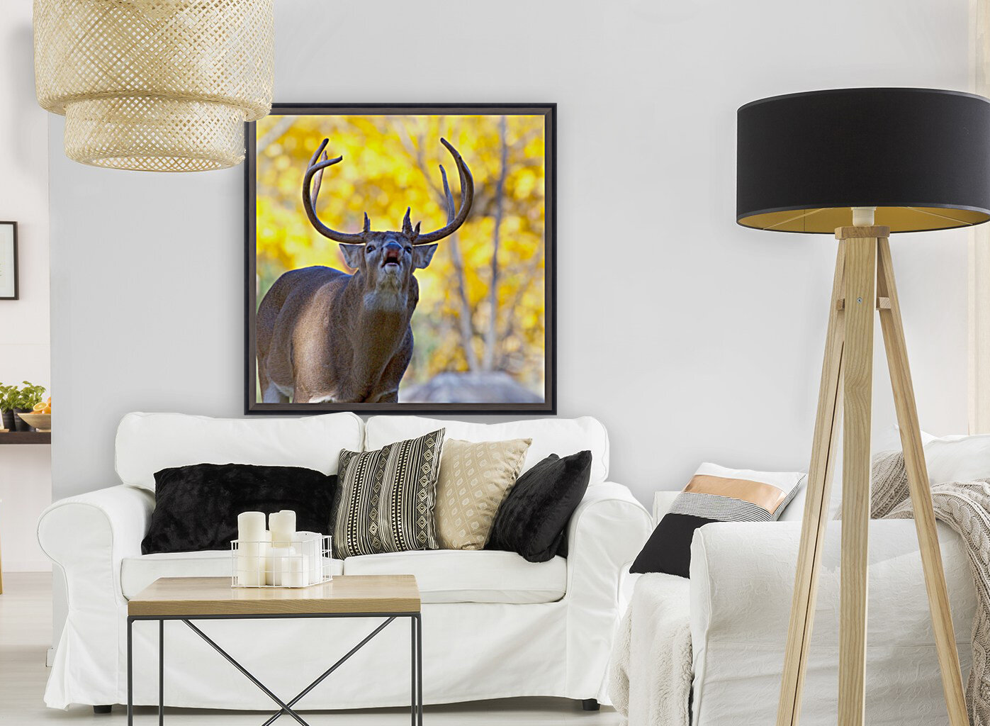 Buck in Fall Reproduction
