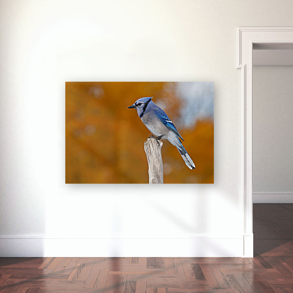 Blue on Orange Reproduction
