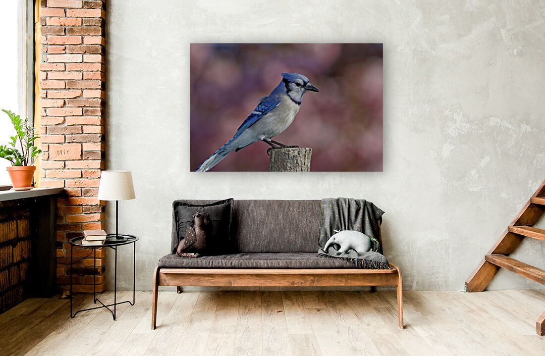 Blue on Pink Reproduction