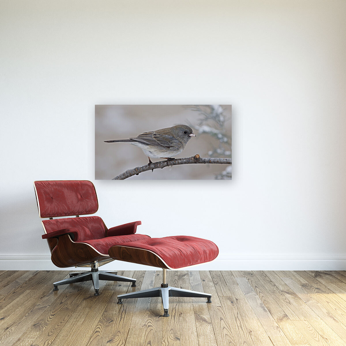 Junco Reproduction