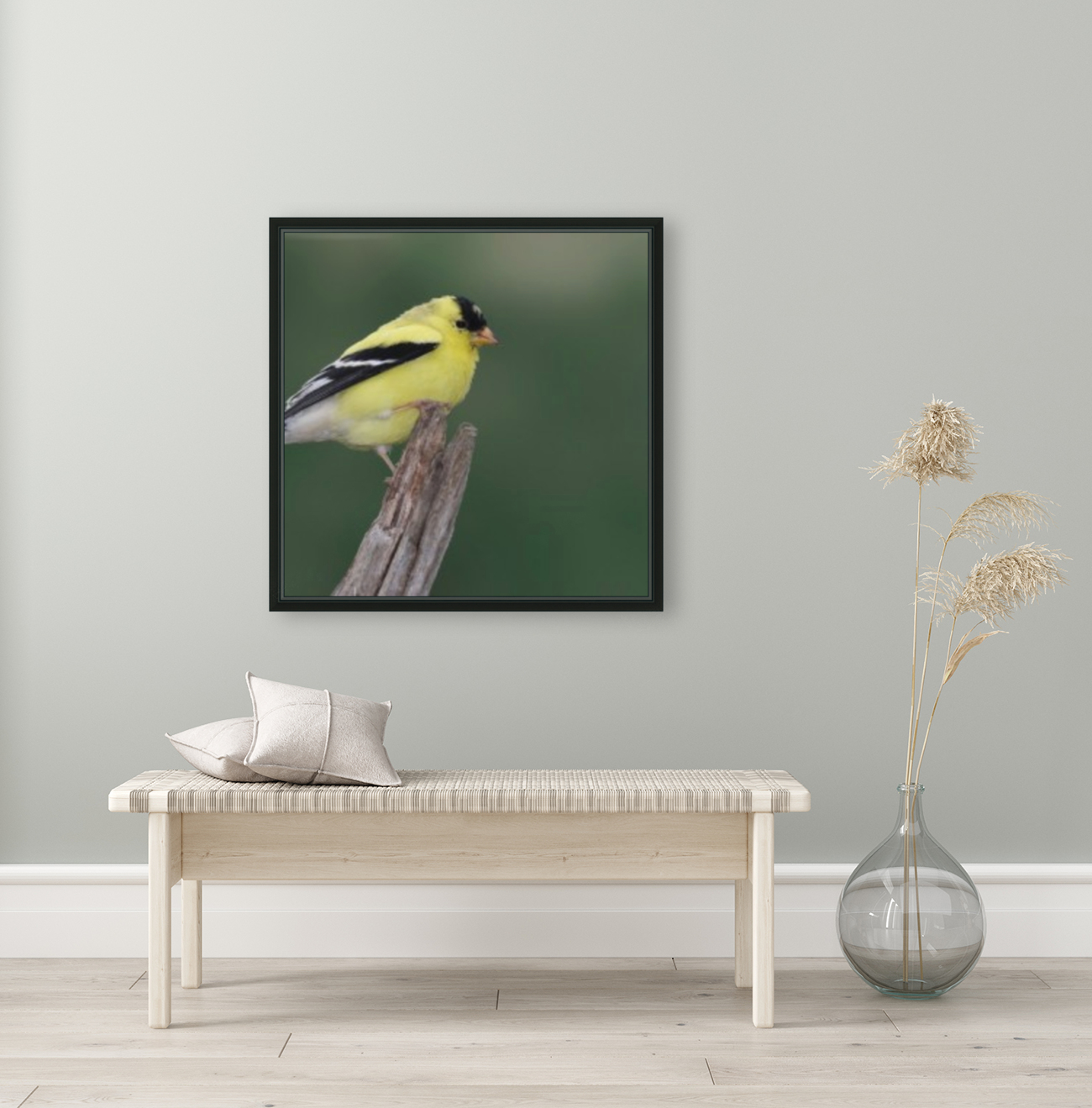 American Goldfinch Reproduction