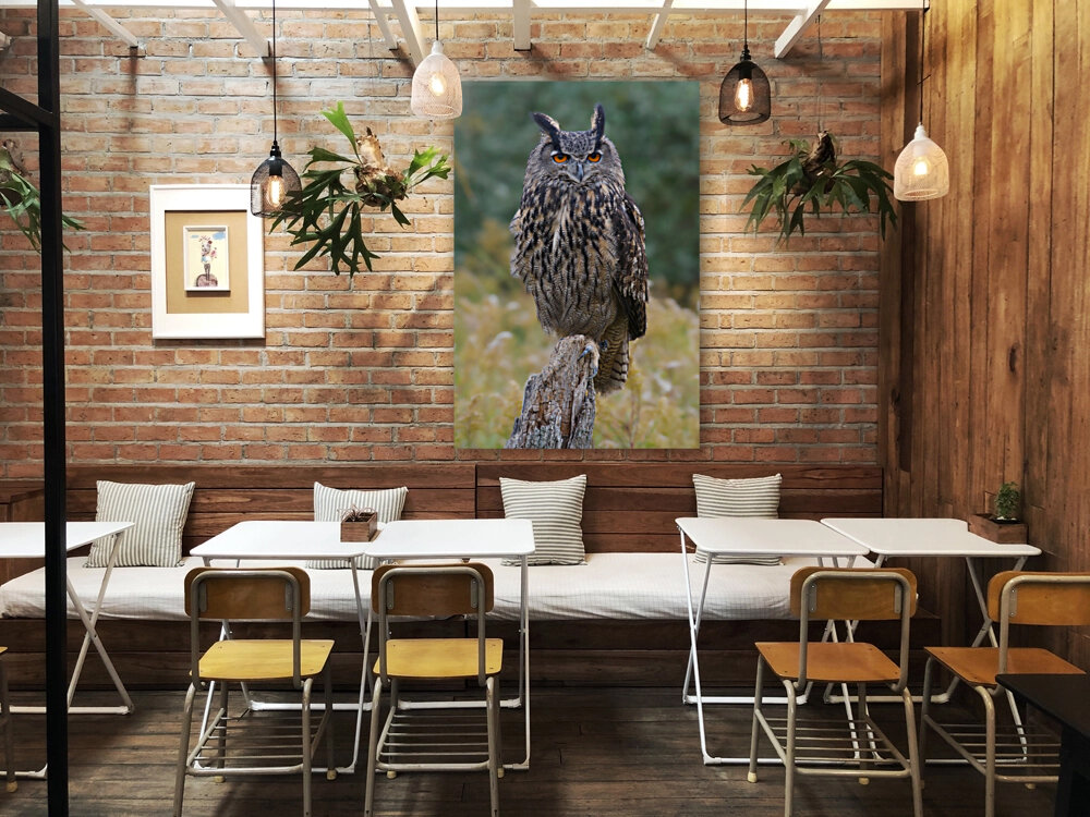 EagleOwl Reproduction