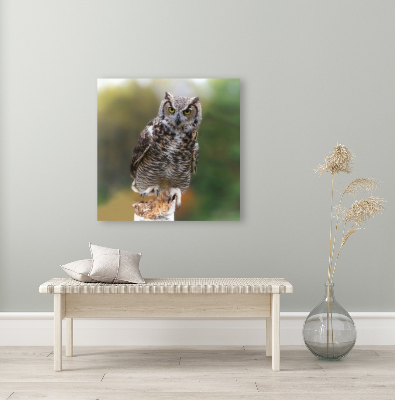 GreatHornedOwl Reproduction