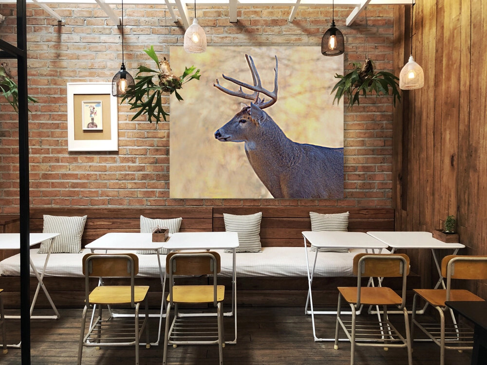 AutumnBuck Reproduction