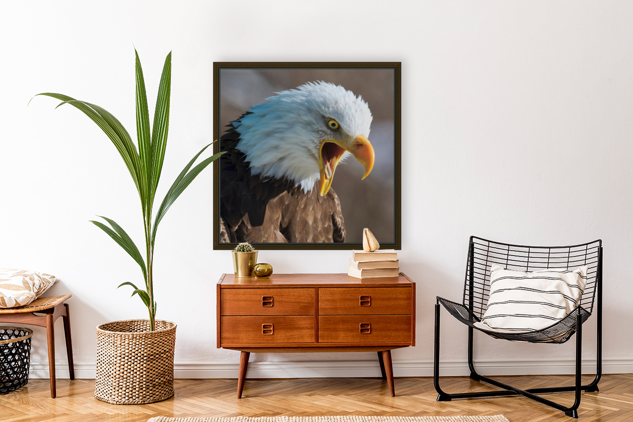 Eagle Scream Reproduction