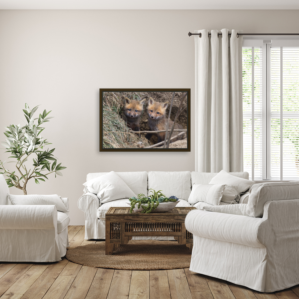 Fox Kits Reproduction