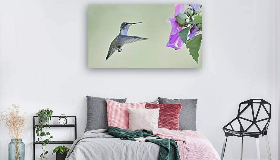 Hummer Reproduction