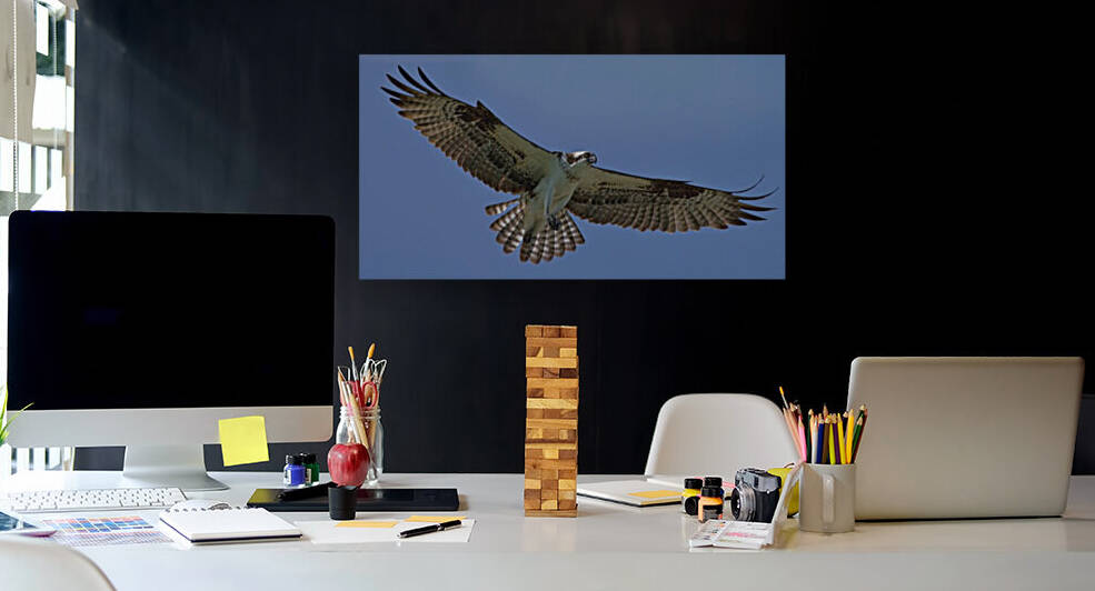 Soaring Reproduction