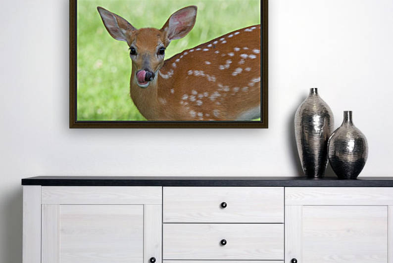 Bambi by Chris Seager
