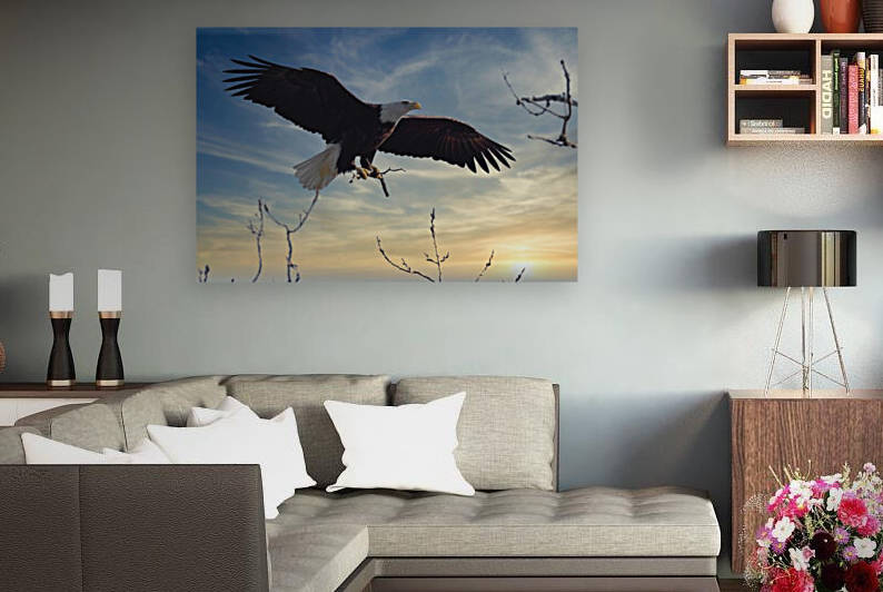 Eagle Sunset Reproduction