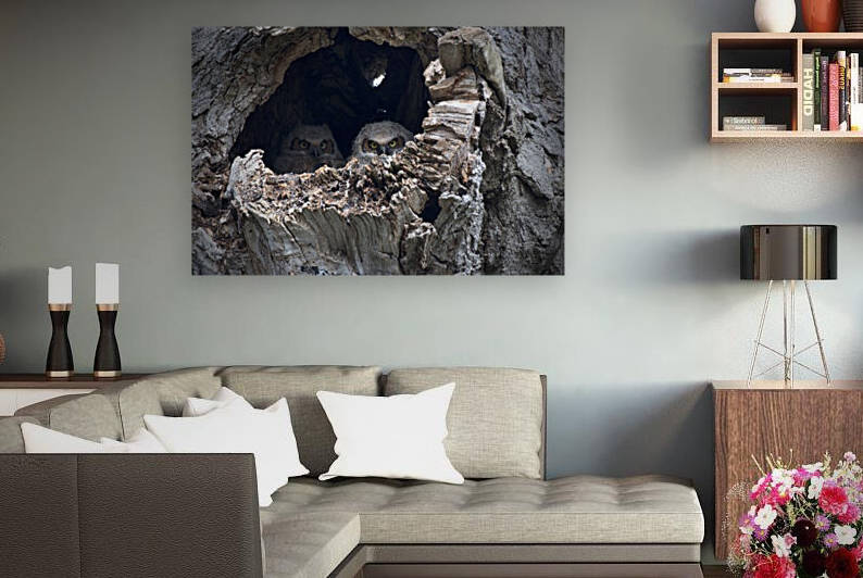 Owl Fortress Reproduction