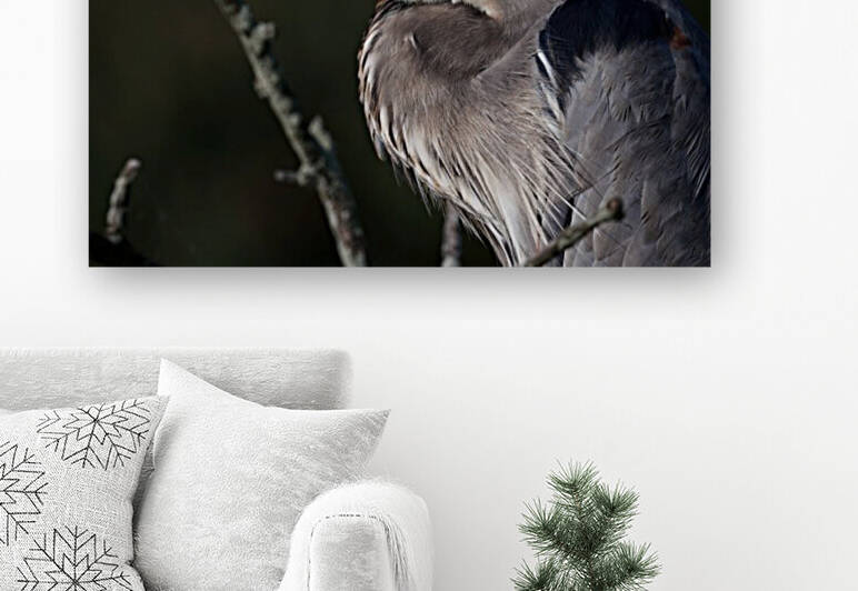 HeronProfile Reproduction