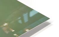 Green Flight HD Metal print