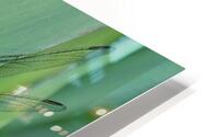 Green on Green  HD Metal print
