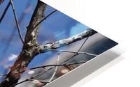 The Sentinel  HD Metal print