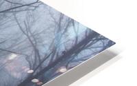 Trees in Mist HD Metal print